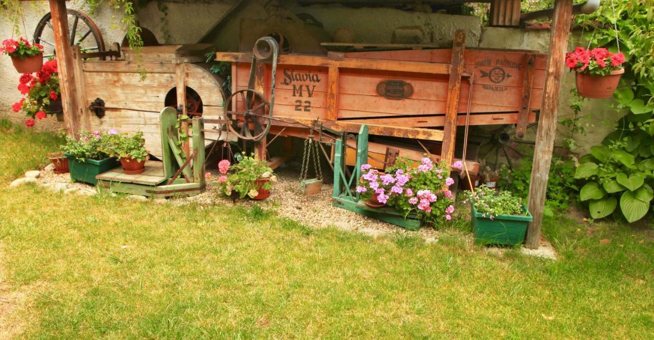Na Upati Palavy Otel Horni Vestonice Dış mekan fotoğraf