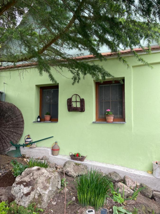 Na Upati Palavy Otel Horni Vestonice Dış mekan fotoğraf